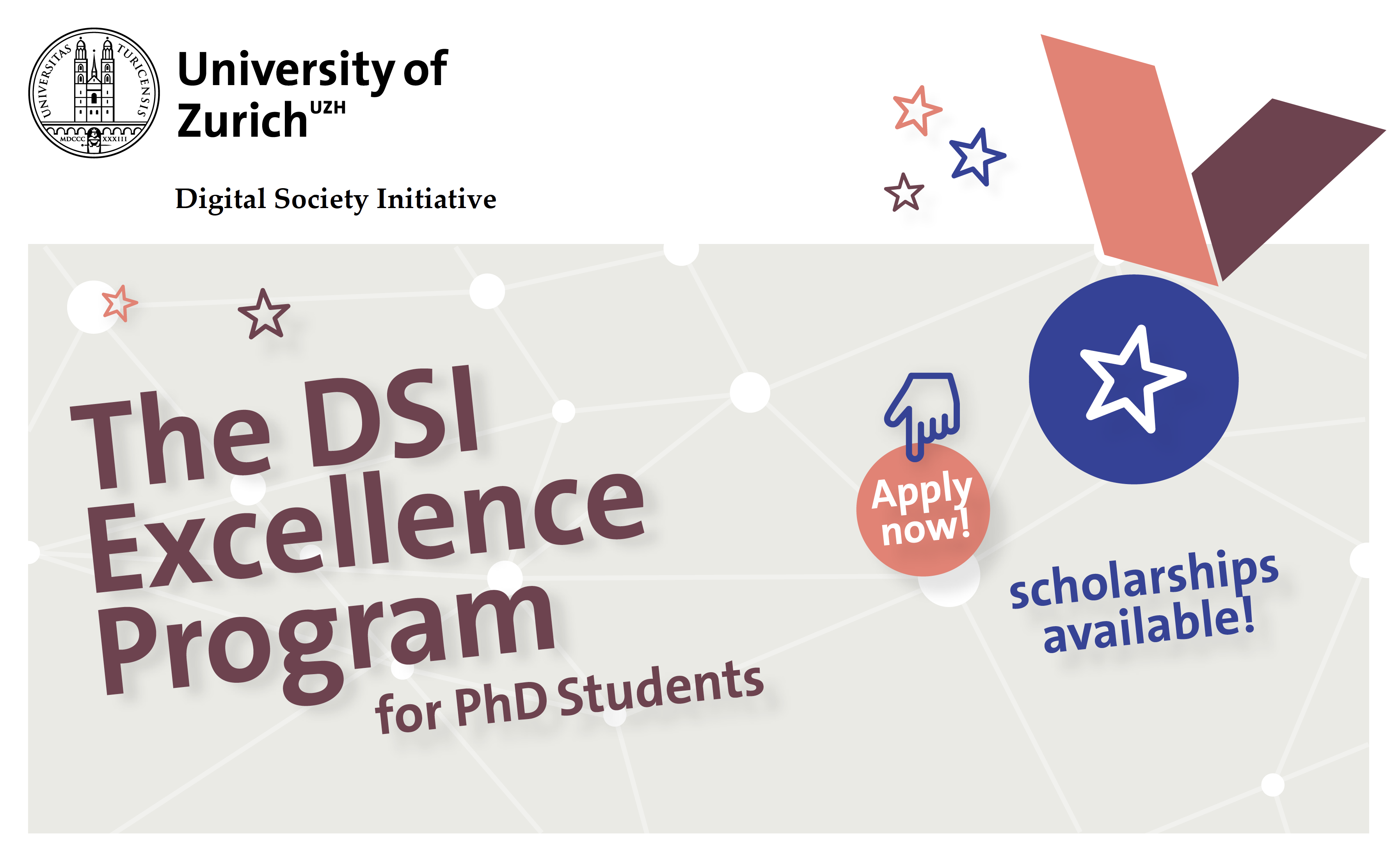 DSI Excellence Program 